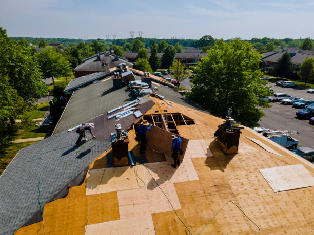 Trusted Storm Damage Roof Repair service in Calypso, NC - Brentwood Metal Roofing